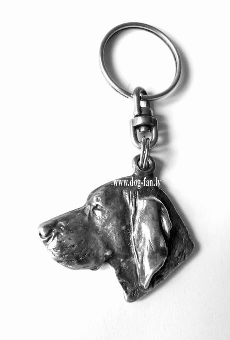 vizla-um copy6